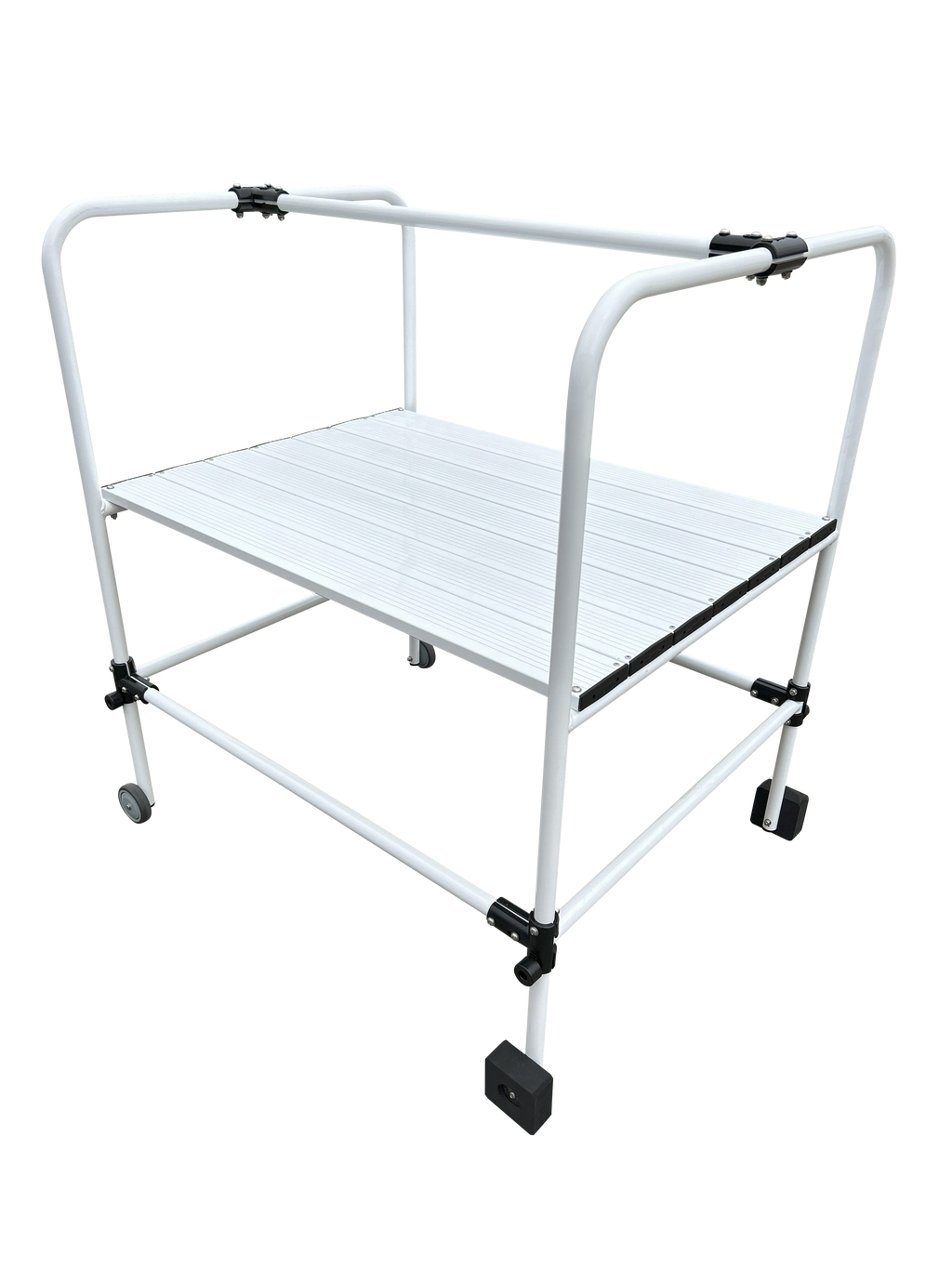 AWESTP Swim Teaching Platform
