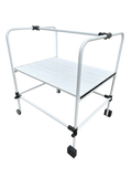 AWESTP Swim Teaching Platform