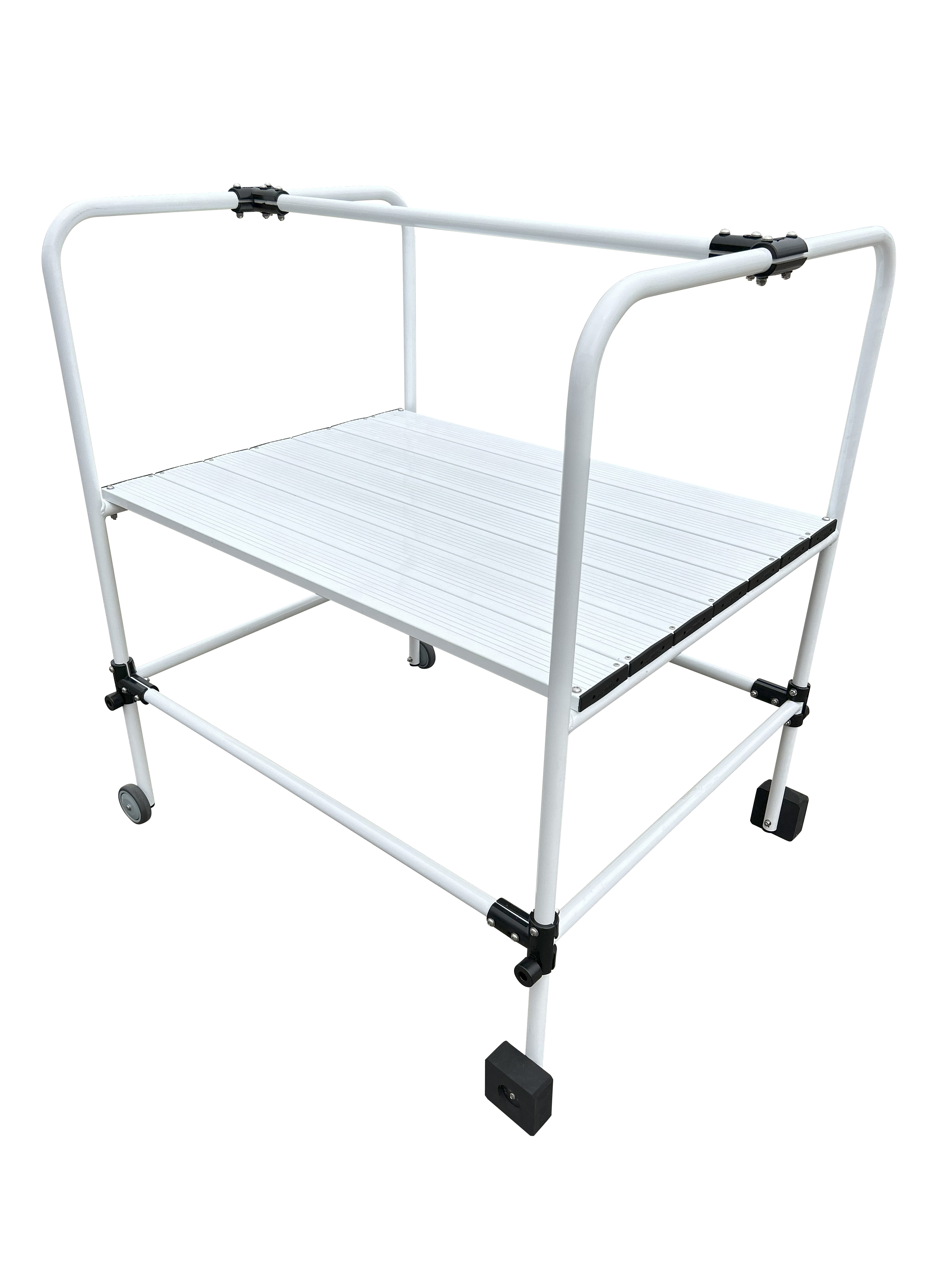 AWESTP Swim Teaching Platform