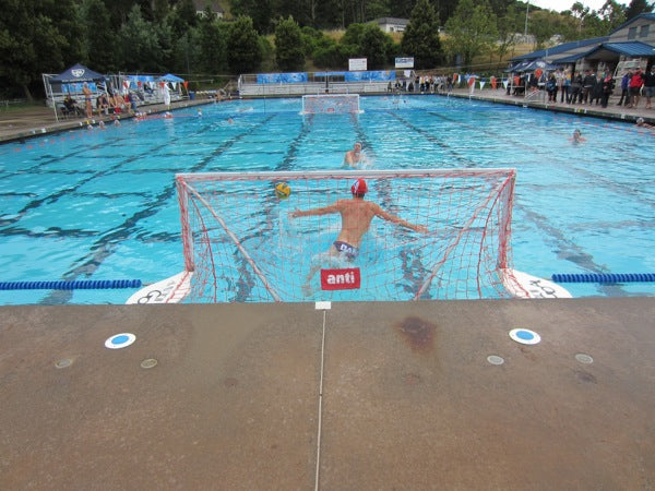AWE329 Junior Flippa Folding Goal